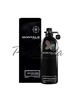 Montale Paris Aoud Cuir d´Arabie, Parfumovaná voda 100ml